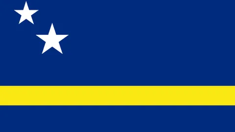 巴西男足国家队主帅儒尼奥尔被剥夺职务